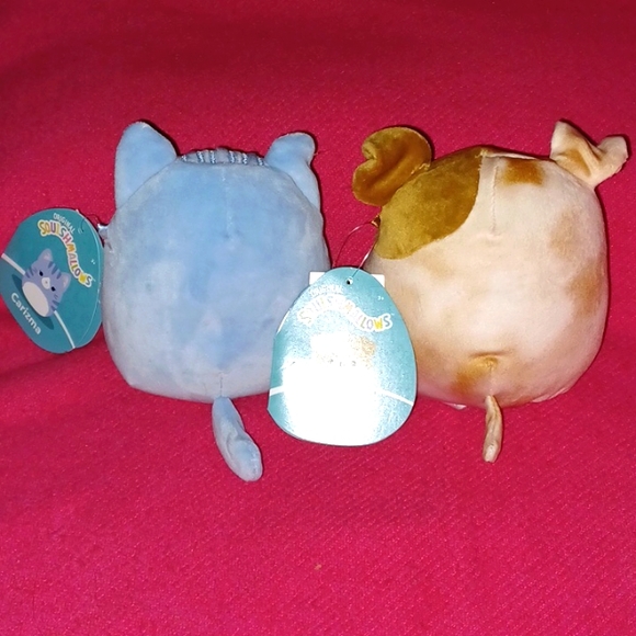 5" Carizma and Bronk - Picture 4 of 6